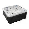 Spa Rigide Netspa Celtic 1 - 5 Places -Piscine Magasin 3813355 spa celtic 1 5 places