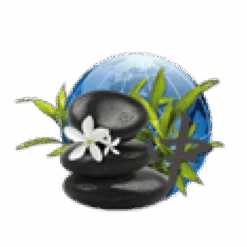 Parfum De Spa à Base D'huiles Essentielles Orient 250 Ml 8 Parfum De Spa à Base D'huiles Essentielles Orient 250 Ml -Piscine Magasin parfum spa huiles essentielles orient camylle 250 ml 2